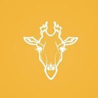Lofty Giraffe